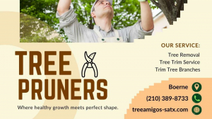 Tree Pruners in Boerne