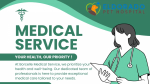 Importance of Pet Vaccination for a Healthy and Happy Life