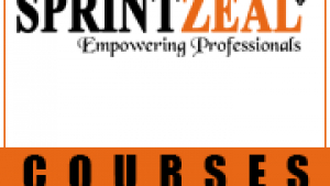 How the PMP Certification Training Course Prepares You for PMI RMP Success