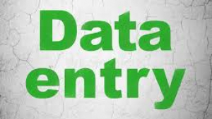 Data Entry Project Available | Call 7708244092