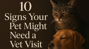 10 Signs Your Pet Might Need a Vet Visit