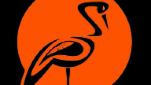 They Don’t Just Teach; They Transform – We Shine Academy, Coimbatore! 