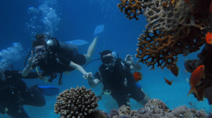 Strengthening the Maritime Future: The Growing Demand for Marine Equipment Supplies in Saudi Arabia