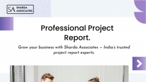 Professional Project Reports for Bank Loans