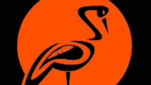 Safeguarding Science: How Chennai’s Leading Fume Hood Manufacturers Are Redefining Lab Safety