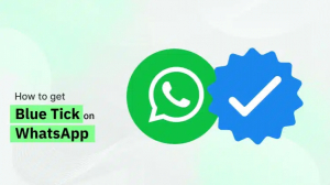 WhatsApp Blue Tick Verification: How to Get the Blue Tick on WhatsApp for Your Business 