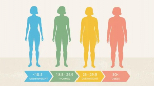 Weight Calculator – Your Complete Guide to Health and Measurement