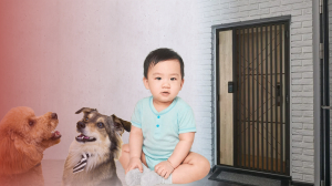 Kids or Pets at Home? Here’s How to Choose the Right Main Gate for a Safer Home 