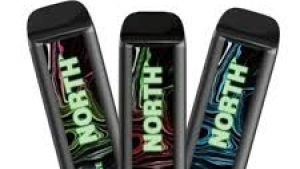 NORTH 5000 Puffs Review – Best Flavors, Performance & Value Guide