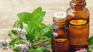 High-Quality Essential Oils and Menthol Crystals Manufacturers: Silverline Chemicals Leading the Way