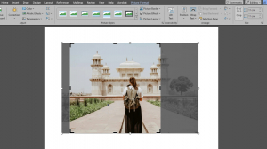 Image Crop: The Most Essential Tool for Perfect Image Editing Online