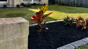 Garden Design in Brisbane