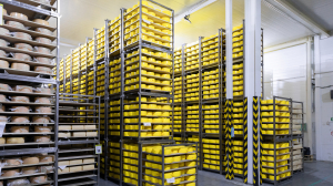 The Ultimate Guide for Choosing the Best Rack Manufacturers to Meet Your Storage Needs