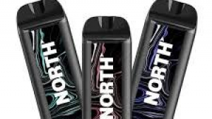 North Vape Price & Top North Vapes Flavors 2025 Guide