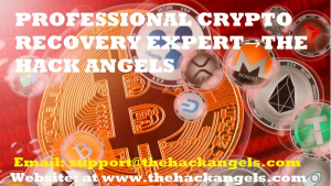 PROFESSIONAL CRYPTO RECOVERY EXPERT→THE HACK ANGELS