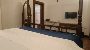 Sun-Kissed Secrets: A Night at the Beach Villas of Goa