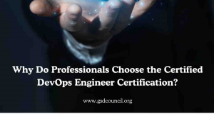 Why Do Professionals Choose the Certified DevOps Engineer Certification?