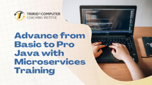 Advance from Basic to Pro Java with Microservices Training - Programming Classes