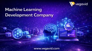 Top Benefits of Working with a Machine Learning  Development Company 