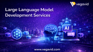Top Features to Look for in Large Language Model  Development Services