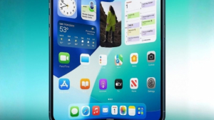 Build Your Career in iOS App Development