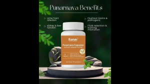 Punarnava An Overview on Punarnava Uses, Benefits, and Capsules