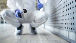 Powerful Fogging Treatment for Complete Pest Protection