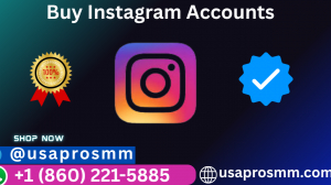 Guide to Safely Buy Instragra Account Everyday