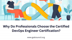 Why Do Professionals Choose the Certified DevOps Engineer Certification?