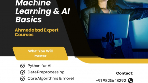 Machine Learning & AI Basics: Ahmedabad Expert Courses