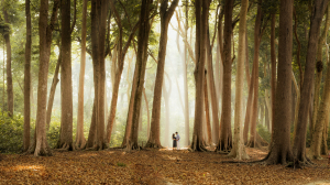 Photographer in Havelock – Capture Your Andaman Memories Perfectly