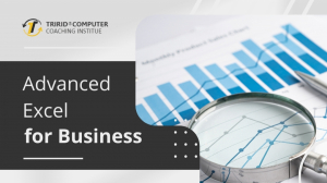 Advanced Excel for Business: TCCI Expert Coaching