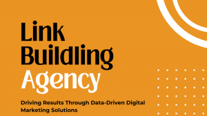 Hire a Professional Link Builder from a Trusted US Link Building Agency