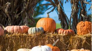 Meaningful and Inspiring Fall Bible Lessons