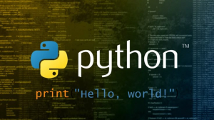 Why Choosing a Python Course in Kochi Can Transform Your Career