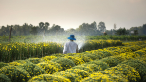 Why Availability of Farm Equipment Is Essential for Agricultural  Services in India 