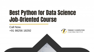 Best Python for Data Science Job-Oriented Course