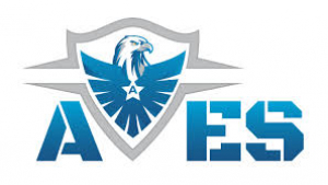 avessecuritysystemsoft