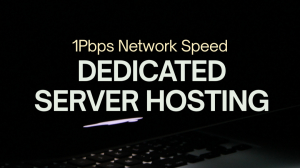 1PBPS.com – High Bandwidth Dedicated Servers for Gaming & Crypto Workloads