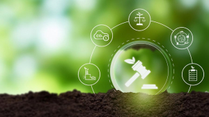 ISO 14001 Certification in India – Environmental Compliance Made Simple