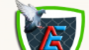 Pigeon Safety Nets in Chennai for Residential & Commercial Spaces