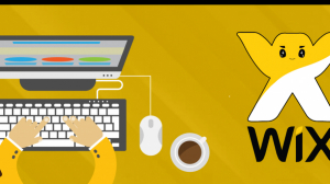 Wix Website Development