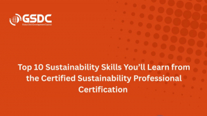 Top 10 Sustainability Skills You’ll Learn from the Certified Sustainability Professional Certificati