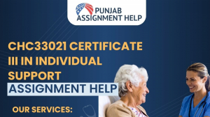 Top 10 Smart Tips to Ace CHC33015 Individual Support Assignments in Australia