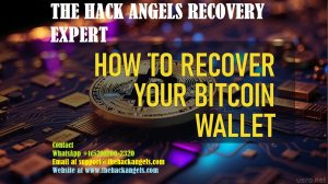 HOW I RECOVERED MY BITCOIN FROM ONLINE SCAMMERS