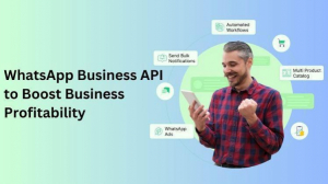 WhatsApp Business API: Complete Guide to Free WhatsApp API for Businesses by WebMaxy 