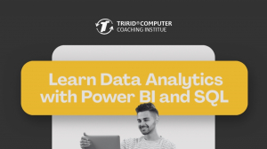 Learn Data Analytics with Power BI and SQL @ TCCI