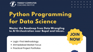 Python Programming for Data Science - IT Training Institute