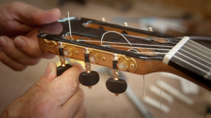 Guitar Luthier Berga: A Regional Perspective on Guitar Craft