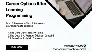 Career Options After Learning Programming